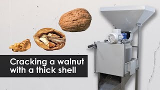 Walnut breaker after cracking machine. What is it used for
