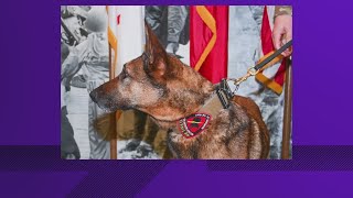 JBSA K9 Mika retires after nine years of service
