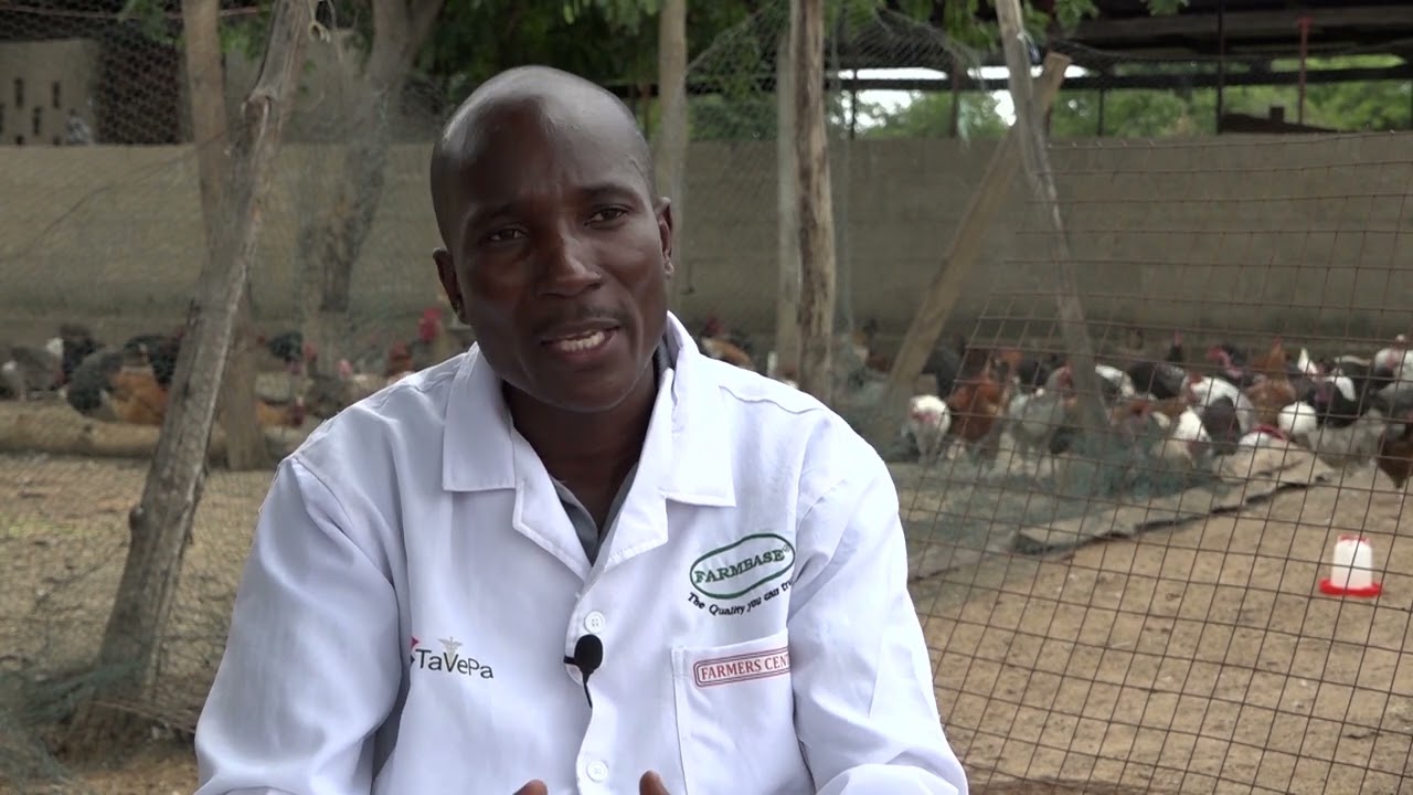 KUKU NI PESA - KUKU WANALIPA