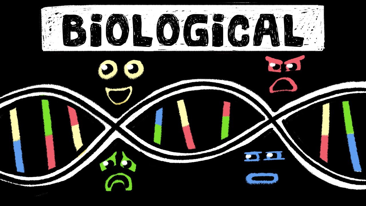 Is your personality pre-determined? Biological Theory of Personality