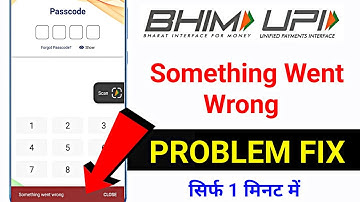 bhim app something went wrong problem || bhim app not opening problem