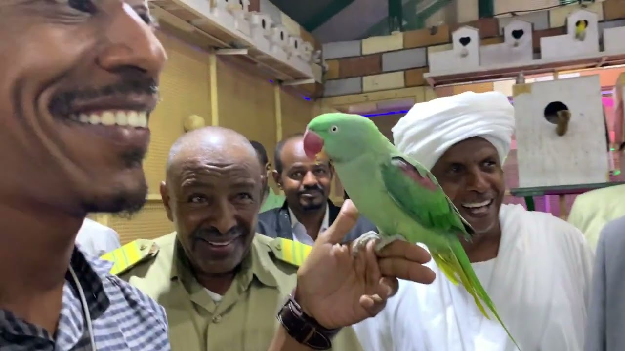 احتفالاً بتكريم الاوائل في امتحانات الاساس بمشاركة السيد والي ولاية الخرطوم و وزير التربية والتعليم