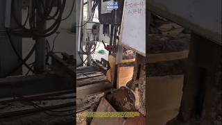 Massive Wood Cutting Machine in Action | Powerful Sawmill Process #shorts