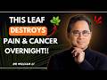 Put This Leaf in Hot Water and Drink It — Your Joints, Skin and Blood Sugar Will Thank You