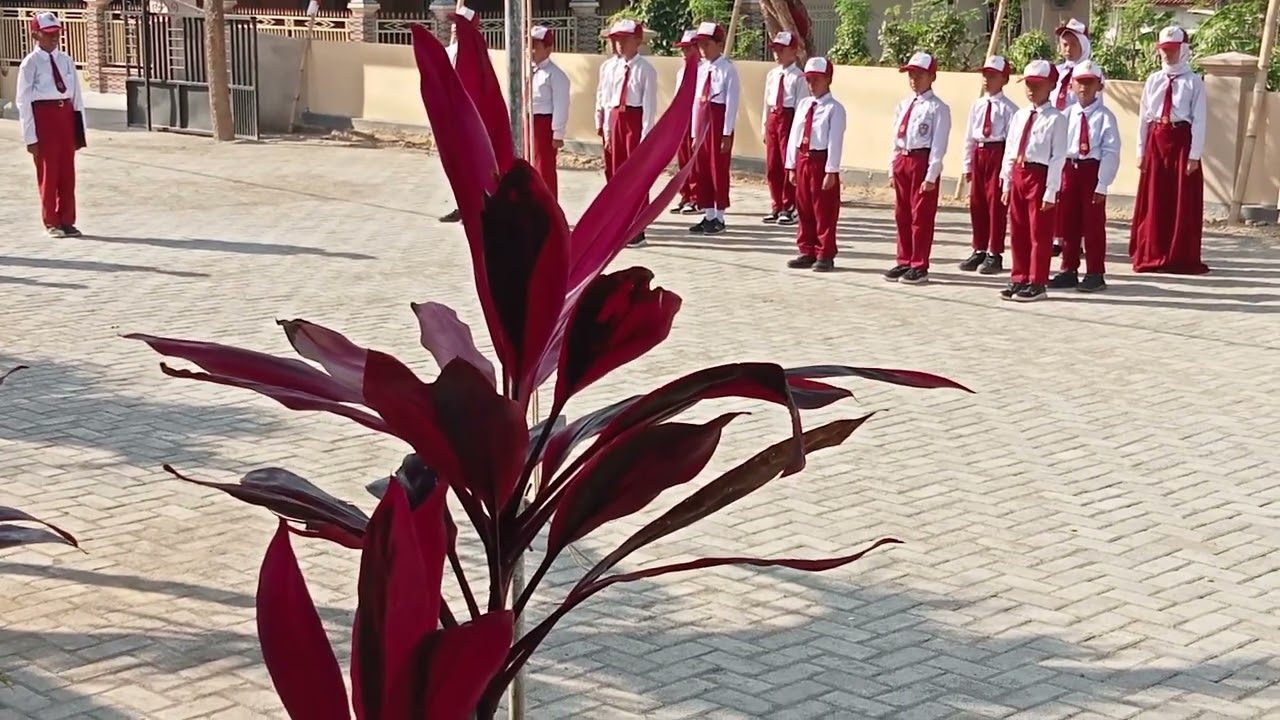 SDN BLUMBUNGAN 1 LARANGAN