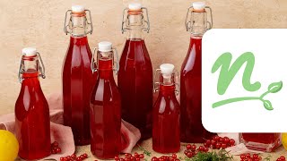 Kakukkfüves Ribizliszörp Recept Nosalty