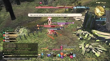 Final Fantasy XIV: A Realm Reborn - To Catch a Poacher battle