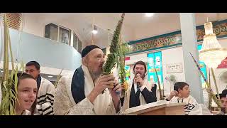הלל עם הרב דב קוק - ה' דחוה"מ סוכות תשפ"ד