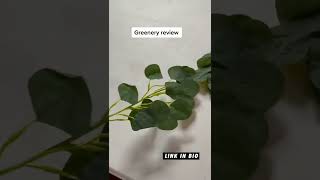 Amazon eucalyptus greenery review