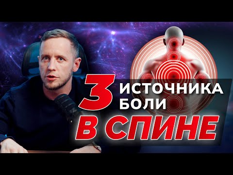 Что болит в спине и почему: межпозвонковый диск, суставы, мышцы. Двадцатилетний опыт невролога