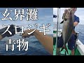 スロージギングでカンパチetc捕獲