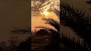 #ytshorts #trendingshorts #lovestatus #missingpersonscases