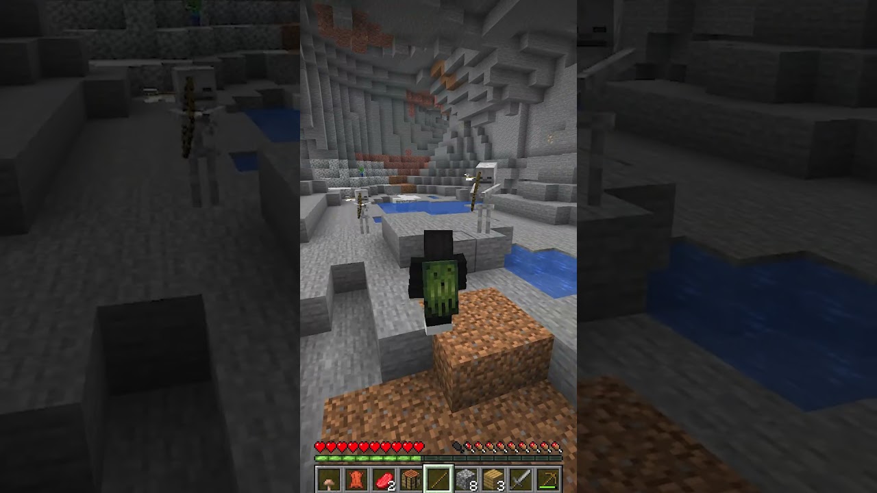 Minecraft, But You Can Stop Time...