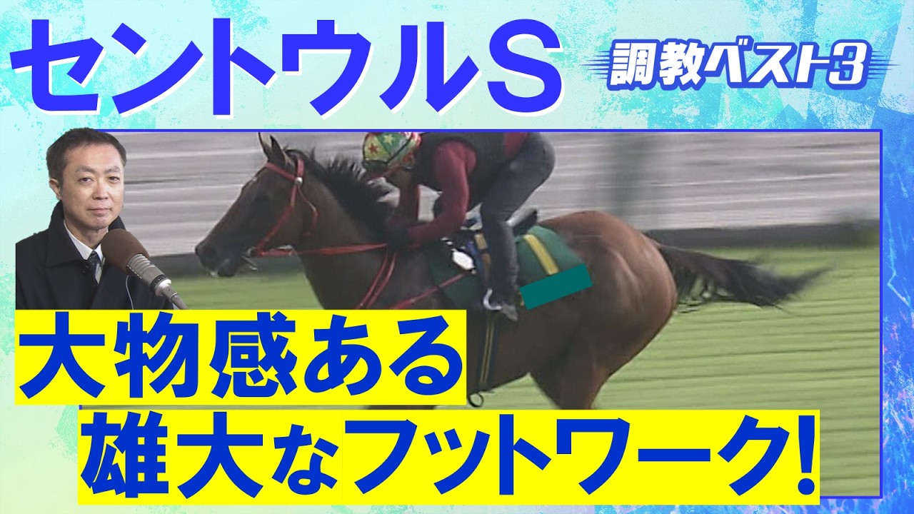 関連動画1