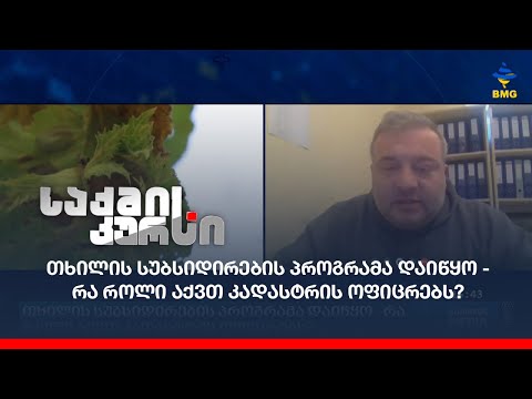 თხილის სუბსიდირების პროგრამა დაიწყო - რა როლი აქვთ კადასტრის ოფიცრებს?