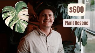 $600 Plant Rescue