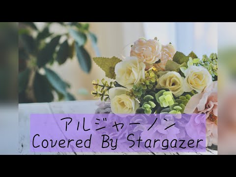 【Cover】アルジャーノン/ヨルシカ Covered By Stargazer