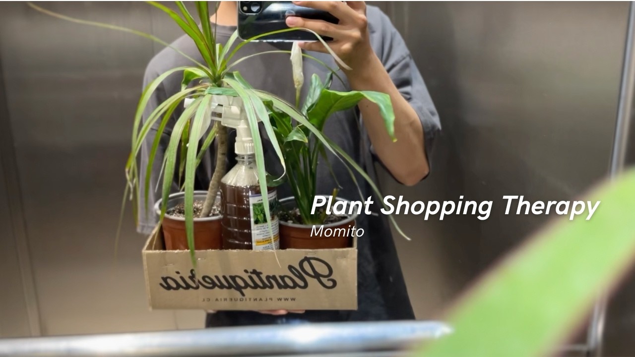 Plant Shopping on a Cozy Day | Chile Vlog