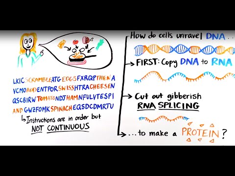 Vídeo: Como funciona o mRNA Splicing?