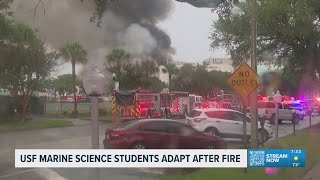 Graduate Students adapt after a fire at the USF Marine Science Building
