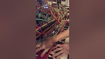 Modular mellotron (1010 bitbox micro)