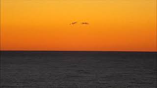 sunset lover, sunset status, sunset song, sunset scenery, sunset art, hd sunset beach relaxing music