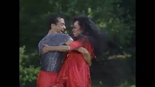 Diana Ross   Live In Central Park   Maniac  Hd