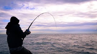 Quando credi di avere INCAGLIATO il metal JIG e invece....SORPRESA!!