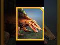 JWTG Skoonasaurus vs JWA Secondontosaurus🆚
