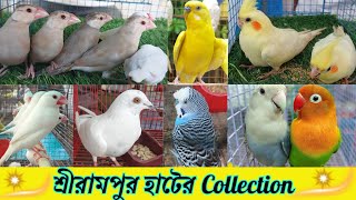 Recent Birds price update || সস্তা মানেই শ্রীরামপুর পাখির হাট || Cocktail/java/Budgies Parrots