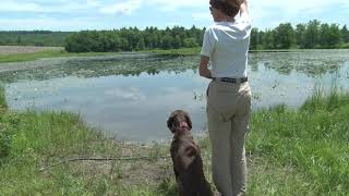 GSP Water Test