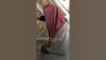 تلاوة من #سورة_الشعراء #الشيخ_محمد_برهجي #المدينة_المنورة #مكة_المكرمة #اكسبلور #اكسبلور