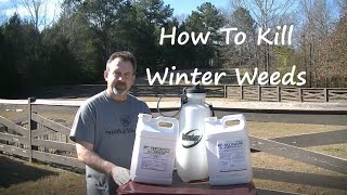 HOW TO Control Winter Weeds in Bermuda Grass (glyphosate)