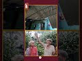 Jackfruit Tree Crashes On House In Sattari