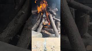 Real life is Slow. Fire Making in the Wild | Calm & Relaxing 22 Minutes