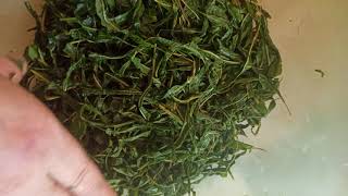 Иван-чай (кипрей). Заготовка и ферментация.Ivan tea (fireweed). Preparation and fermentation.
