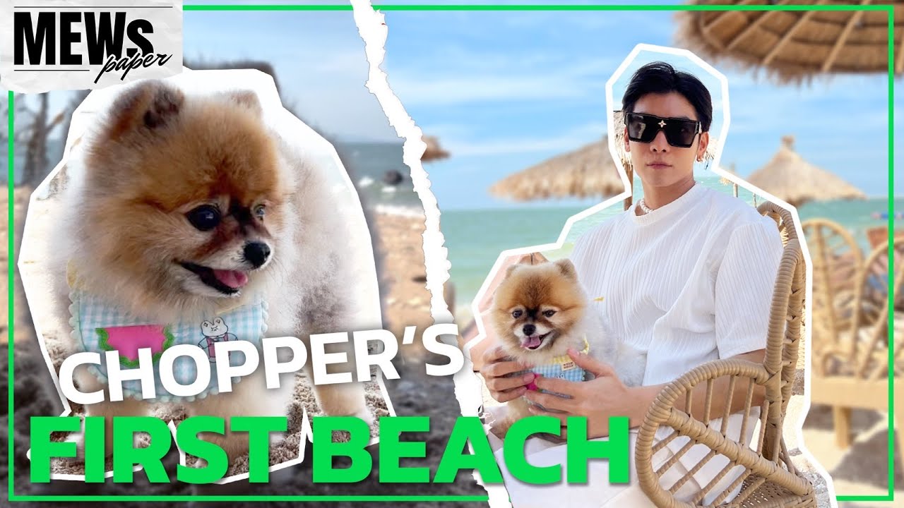 Mewspaper EP5 I CHOPPER'S FIRST BEACH [ENG SUB]