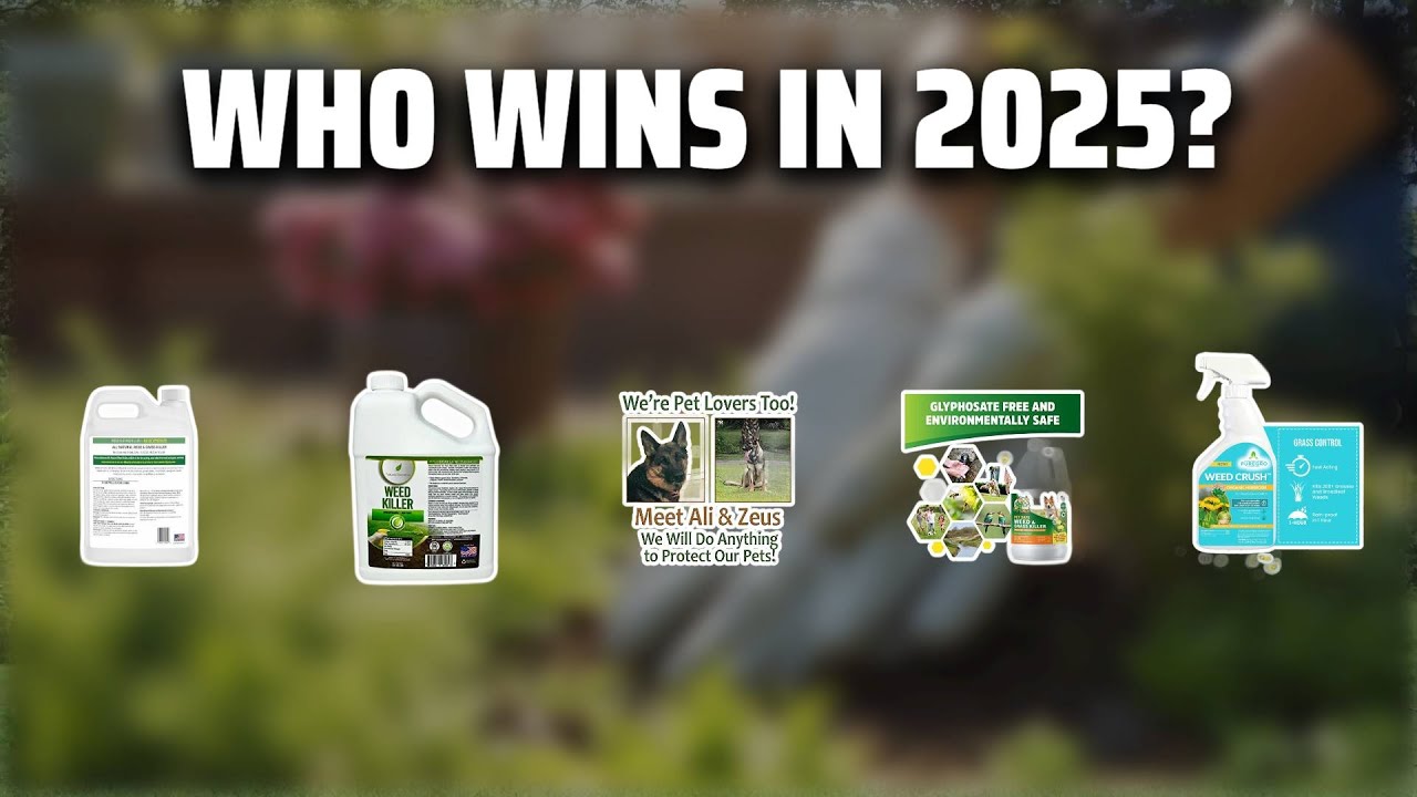 The Top 5 Best Weed Killer in 2025 - Must Watch Before Buying!