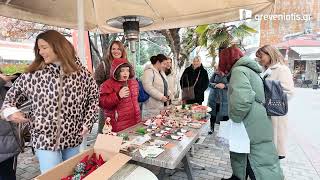 Χριστουγεννιάτικο Βazaar,  του Ειδικού Δημοτικού Σχολείου Γρεβενών
