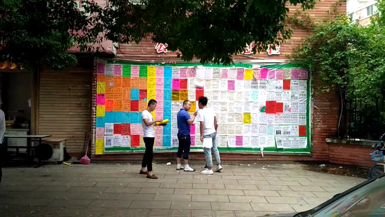 Не поделили поляну - YouTube