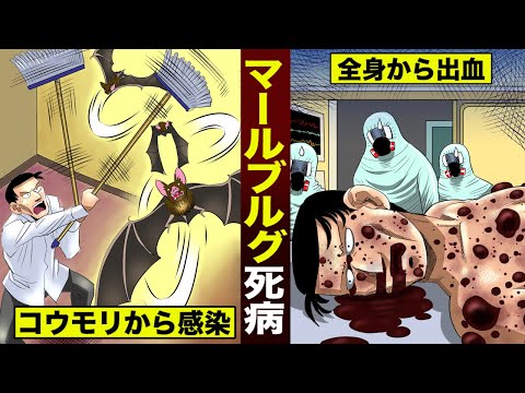 【実態】マールブルグ死病…コウモリから感染。全ての毛穴から大量出血。