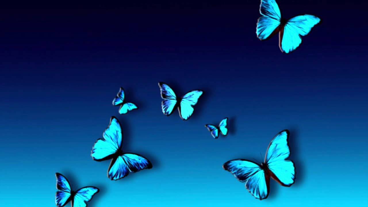 Transformation~ Guided Meditation to transform your life - YouTube