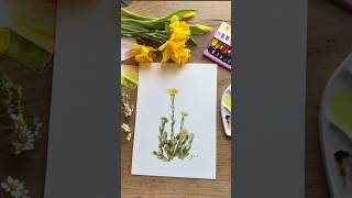Coltsfoot Painting - Tutorial Available #everydaywatercolor #springpainting #spring #flowerpainting