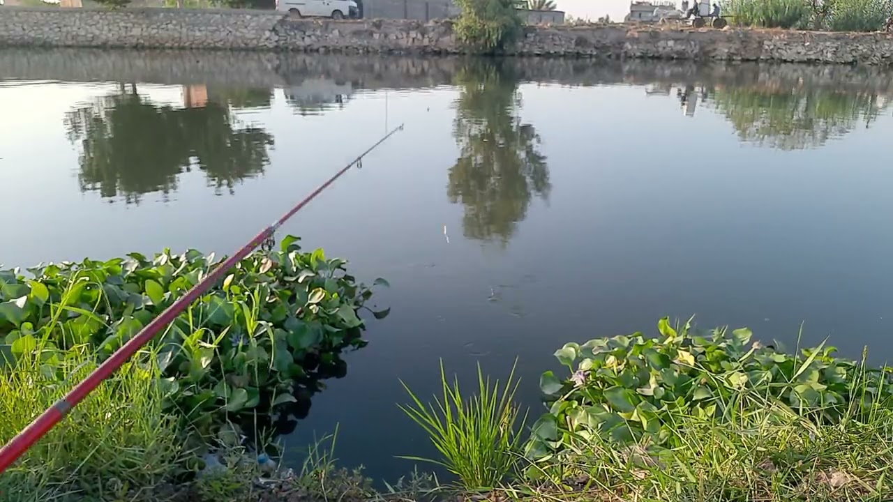 سر فى أدوار الغلة ليه ما بتاكلش