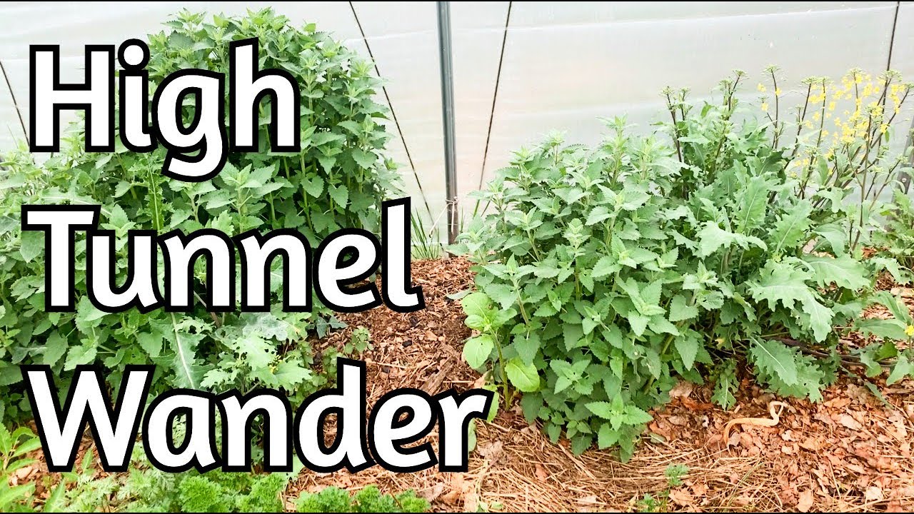 Hightunnels - A Spring Tour