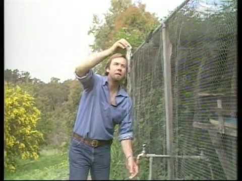 Ping Pong Fountain Ball Explained.