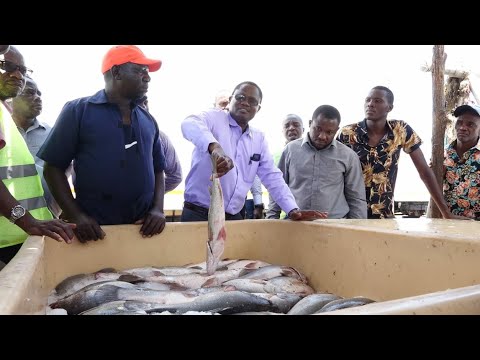 Video: Katuni Gani Za Kisasa Zinafaa Kwa Maendeleo Ya Hotuba