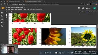 data augmentation