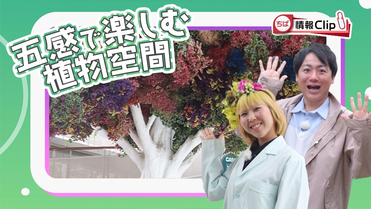 五感が潤うBOTANICA MUSEUM【ちば情報Clip ６月号】