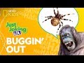 Jokes and Tongue Twisters Challenge